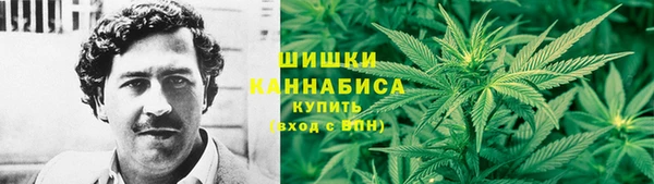 прущие грибы Горно-Алтайск