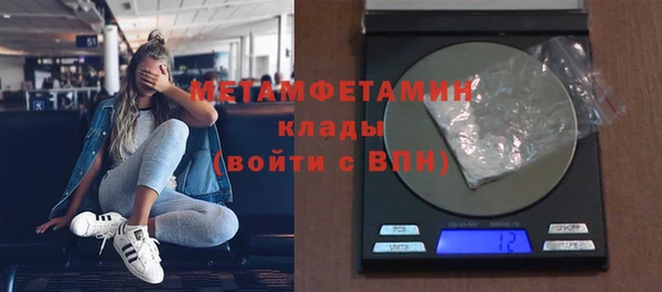 прущие грибы Горно-Алтайск