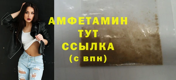 прущие грибы Горно-Алтайск