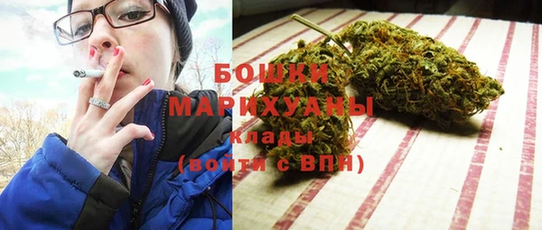 прущие грибы Горно-Алтайск