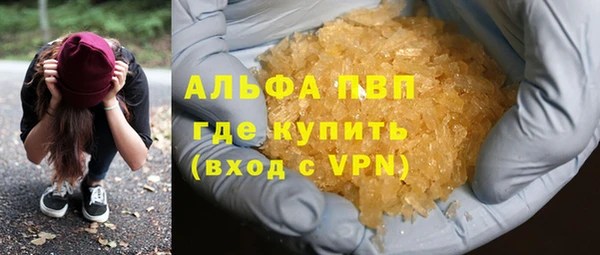 прущие грибы Горно-Алтайск