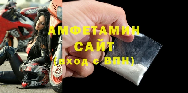 прущие грибы Горно-Алтайск