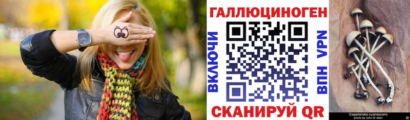 Псилоцибиновые грибы MAGIC MUSHROOMS  Купить  Пересвет 
